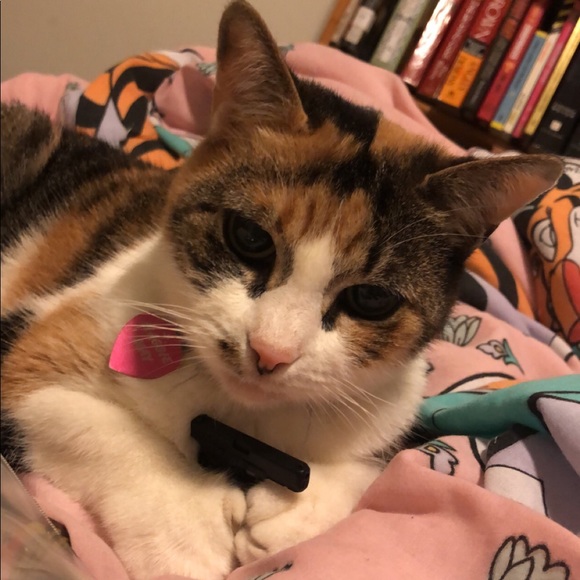 Meet your Posher, Leanne - Picture 7 of 13